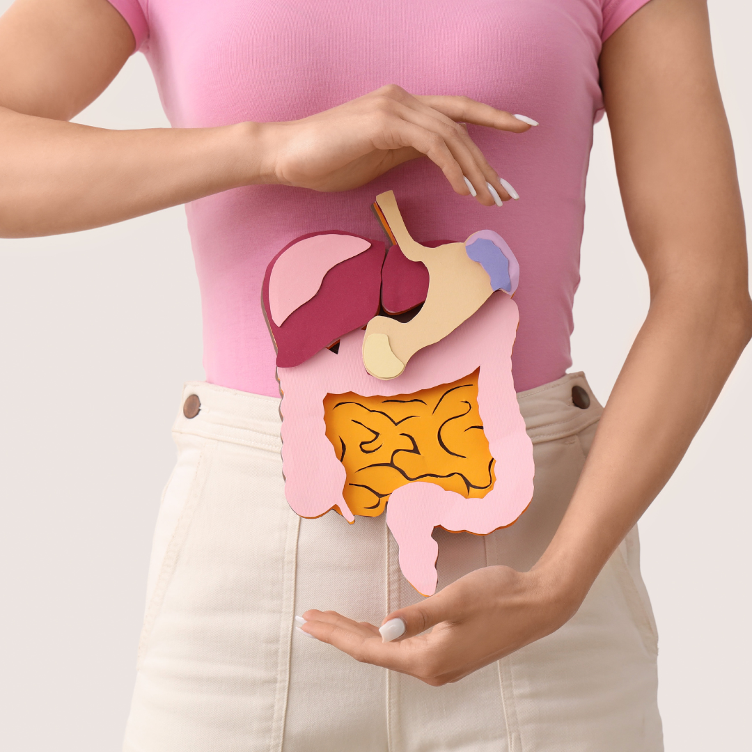 Une digestion apaisée, une vie transformée : les conseils de Nora Beauty