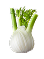 Fenouil 